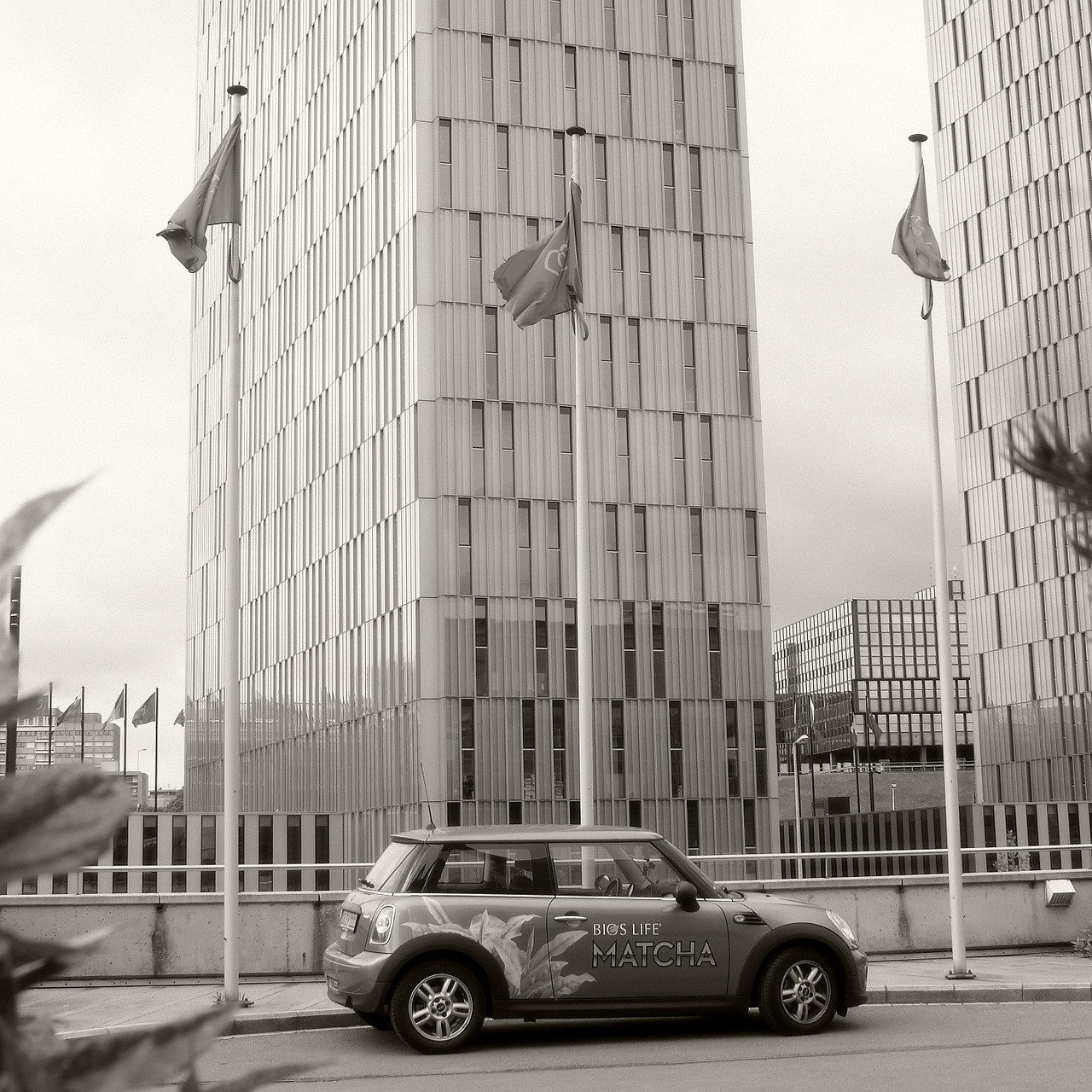 This data-driven approach enables teams to make informed decisions during